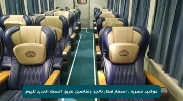 مواعيد حصرية.. أسعار قطار تالجو وتفاصيل طريق السكة الحديد لليوم